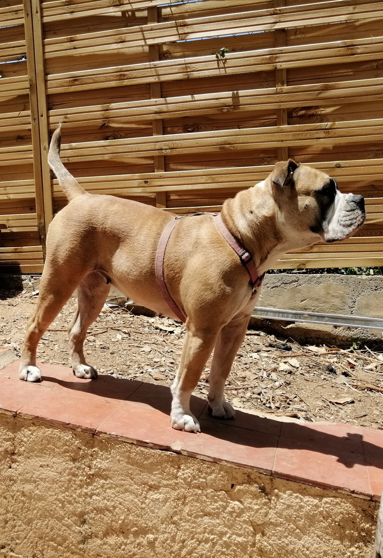 Nala de la Borde Riva